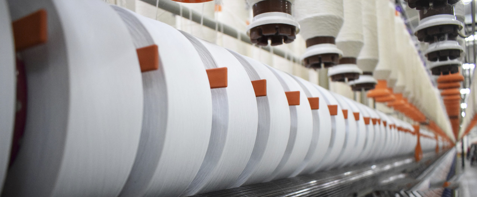 Global Organic Standards